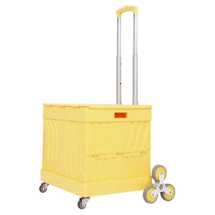 Txawm Cia Tus Me Nyuam Caij Lub Tsev Muag Khoom Trolley? Peb Teev Koj Tsis Pa...